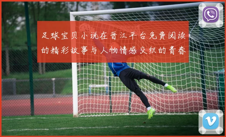 足球宝贝小说在晋江平台免费阅读的精彩故事与人物情感交织的青春岁月