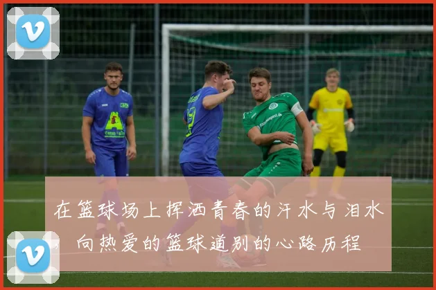 在篮球场上挥洒青春的汗水与泪水，向热爱的篮球道别的心路历程