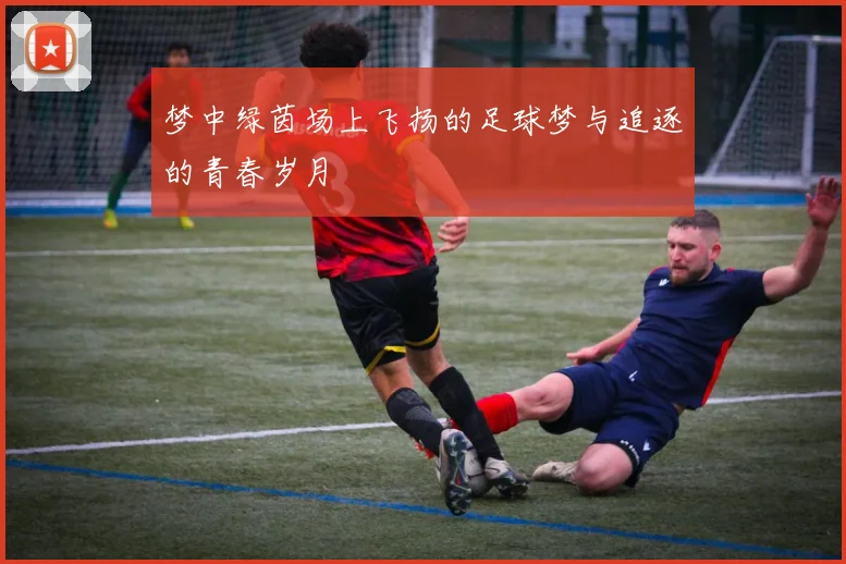 梦中绿茵场上飞扬的足球梦与追逐的青春岁月