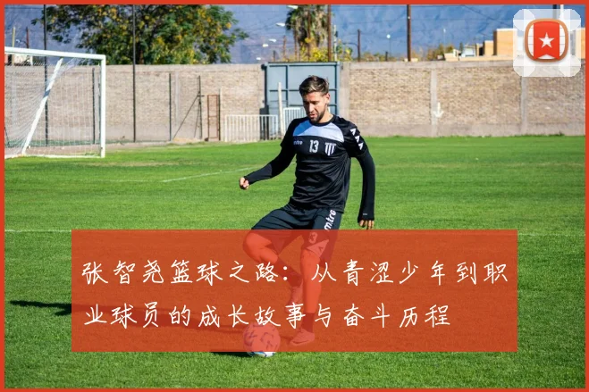 张智尧篮球之路：从青涩少年到职业球员的成长故事与奋斗历程